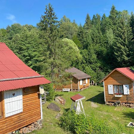 Homorod Lodge Băile Homorod Dış mekan fotoğraf