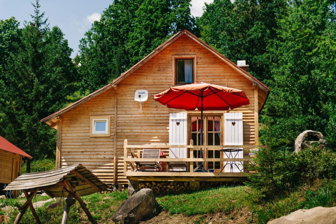 Homorod Lodge Băile Homorod Dış mekan fotoğraf