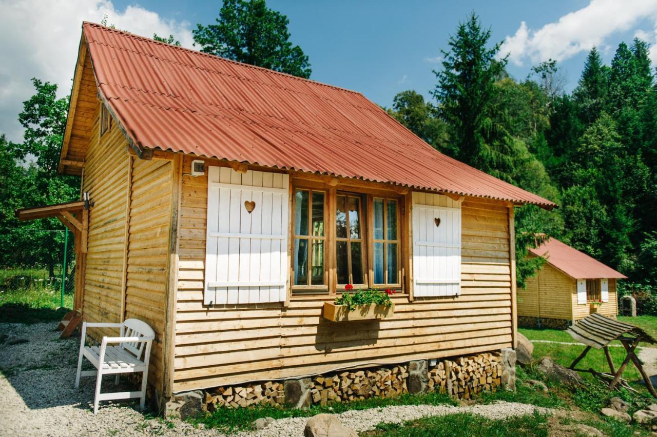 Homorod Lodge Băile Homorod Dış mekan fotoğraf