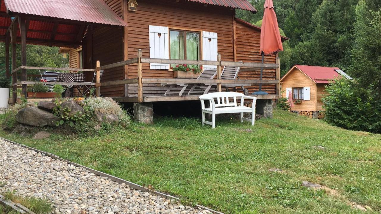 Homorod Lodge Băile Homorod Dış mekan fotoğraf