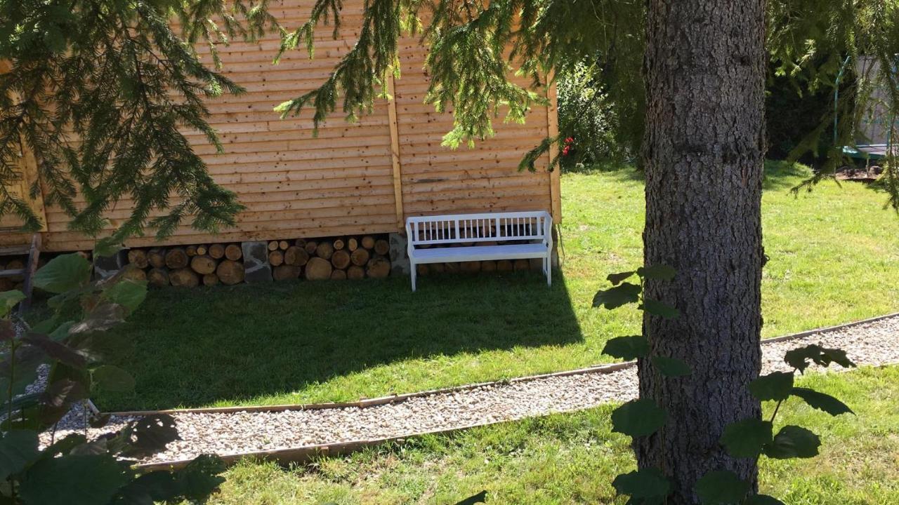 Homorod Lodge Băile Homorod Dış mekan fotoğraf