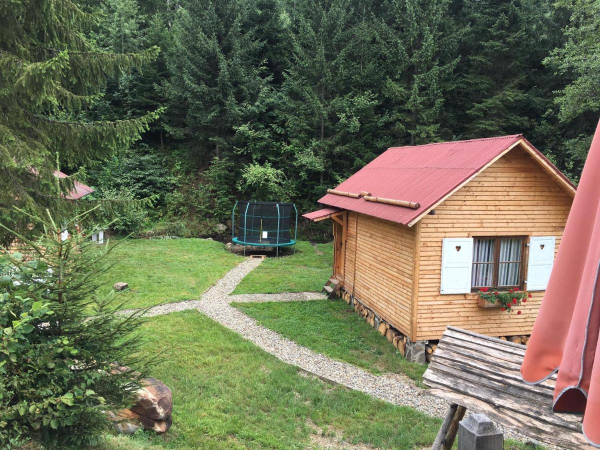 Homorod Lodge Băile Homorod Dış mekan fotoğraf