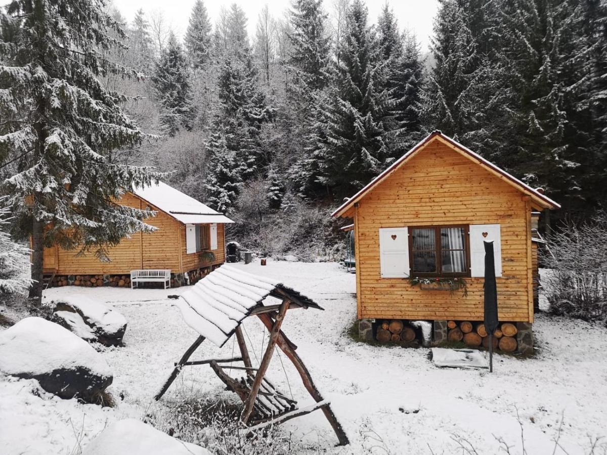 Homorod Lodge Băile Homorod Dış mekan fotoğraf