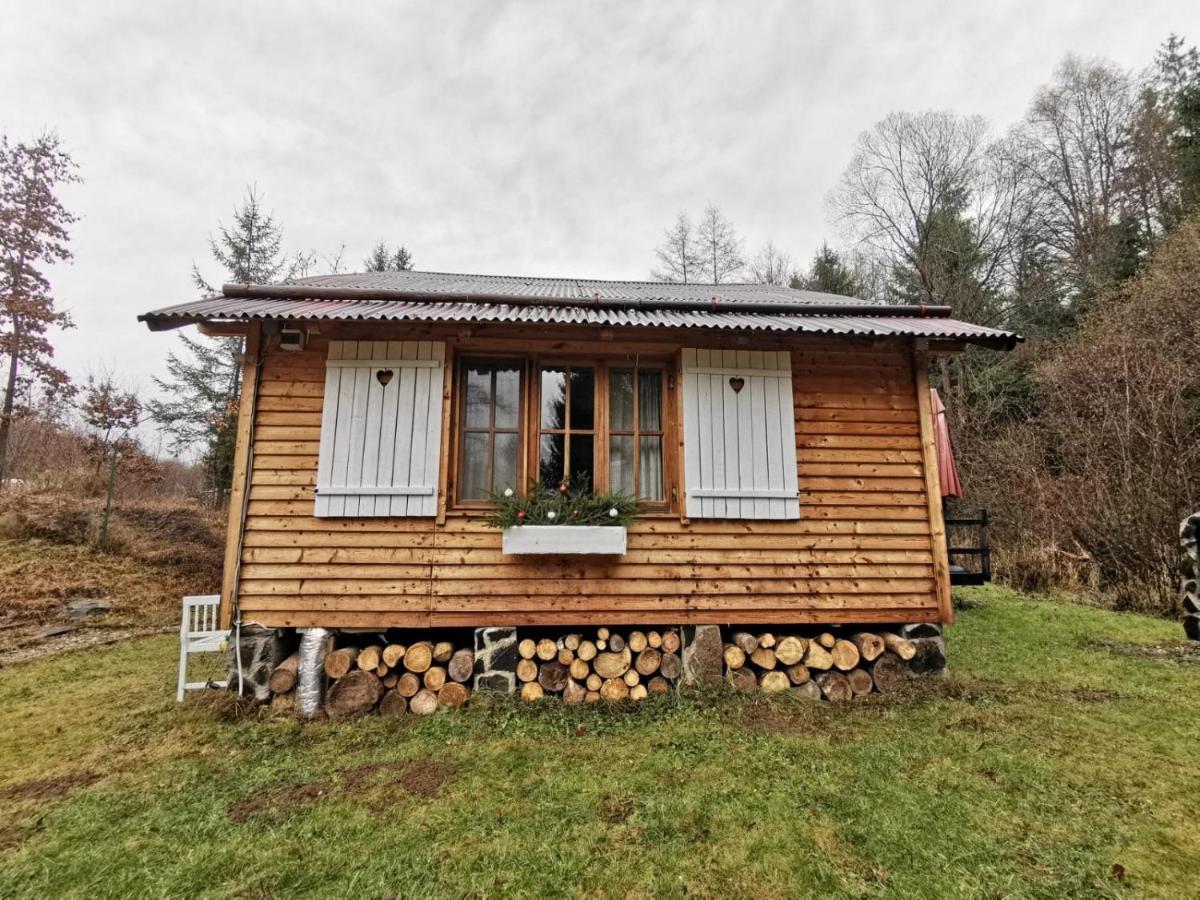 Homorod Lodge Băile Homorod Dış mekan fotoğraf