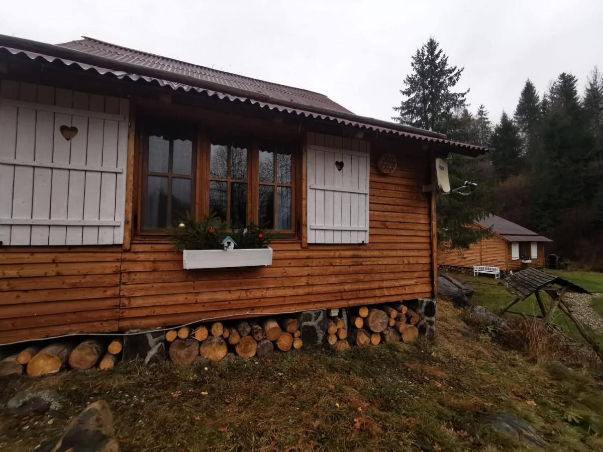 Homorod Lodge Băile Homorod Dış mekan fotoğraf