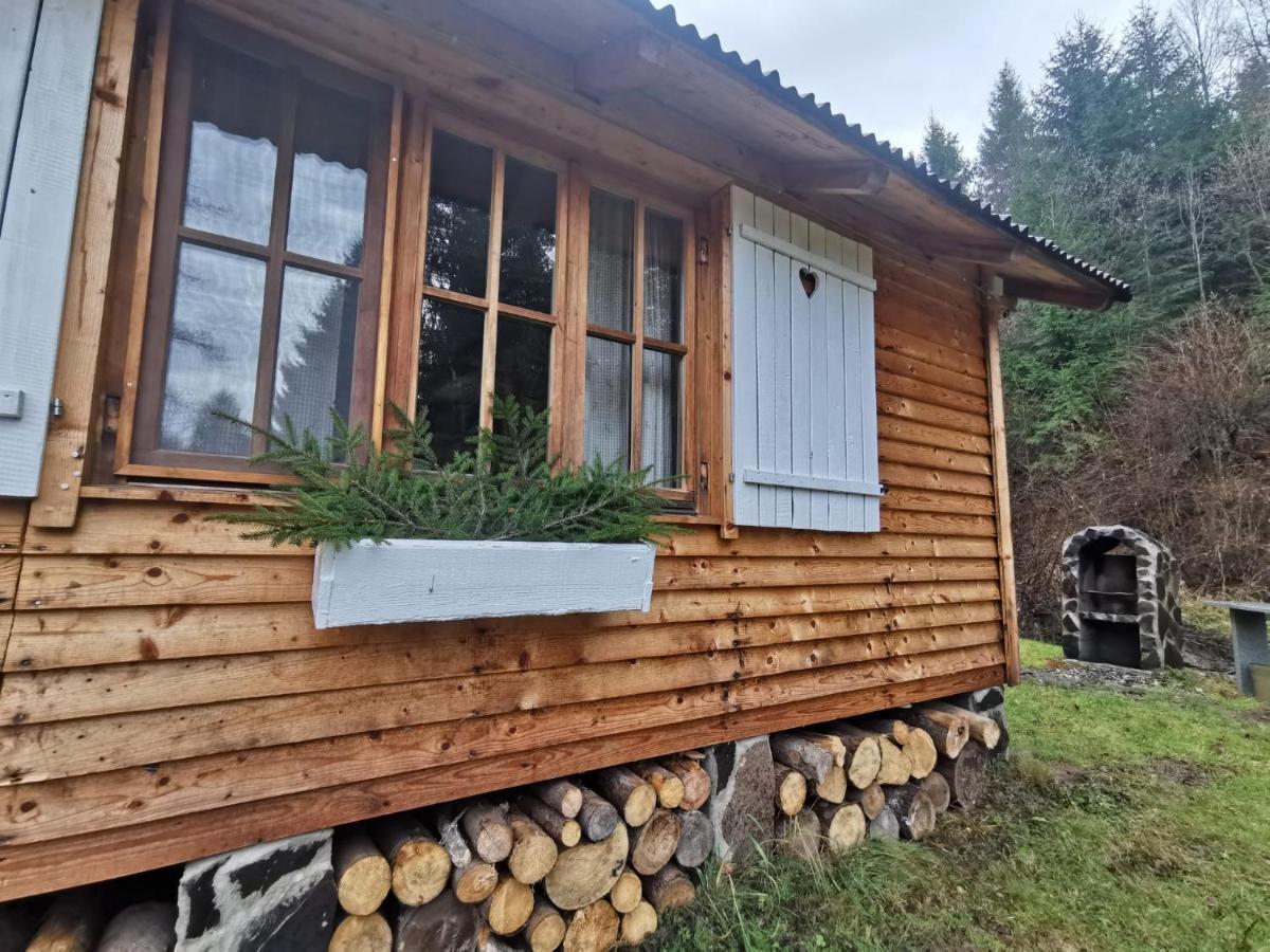 Homorod Lodge Băile Homorod Dış mekan fotoğraf