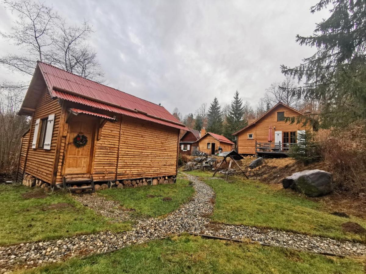 Homorod Lodge Băile Homorod Dış mekan fotoğraf