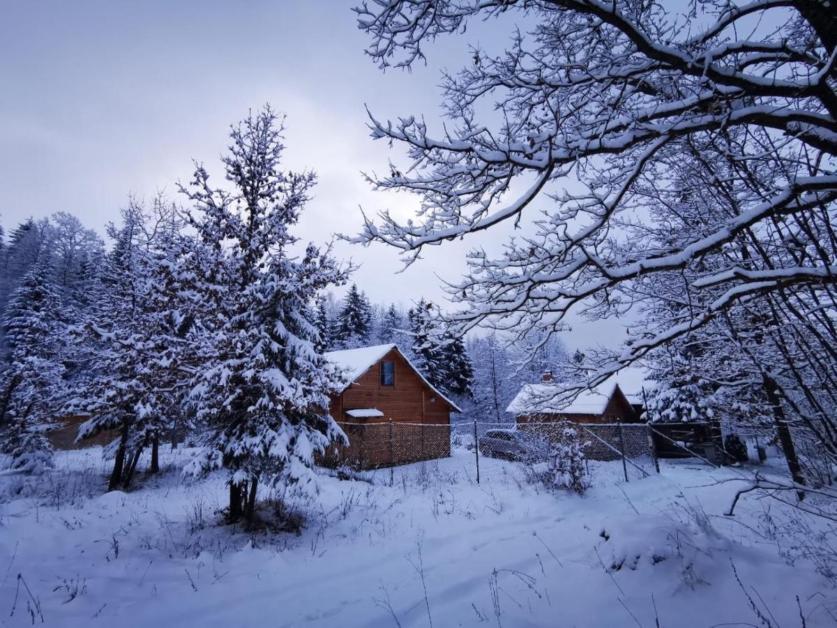 Homorod Lodge Băile Homorod Dış mekan fotoğraf