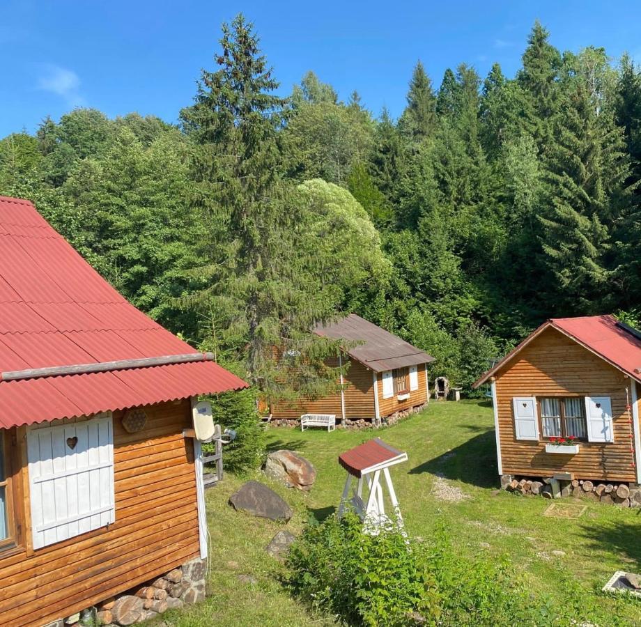 Homorod Lodge Băile Homorod Dış mekan fotoğraf